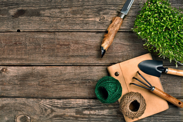 Εργαλεία κηπουρικής και Βλαστηση στο ξύλινο τραπέζι. Άνοιξη στον κήπο - Φωτογραφία, εικόνα