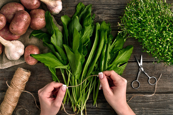 Woman hands holding fresh organic spinach leaves. Vegetables, onion, garlic, potatoes, spinach, lettuce leaves on wooden background - Foto, Bild