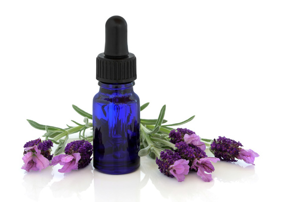 Lavender Herb Flower Essence - Photo, Image
