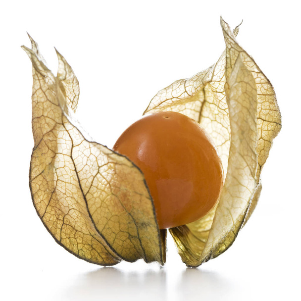 Physalis fruit with papery husk on a white background.  - Φωτογραφία, εικόνα