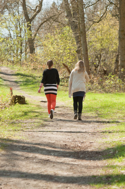 Deux femmes marchant sur le sentier dans la forêt printanière
. - Photo, image