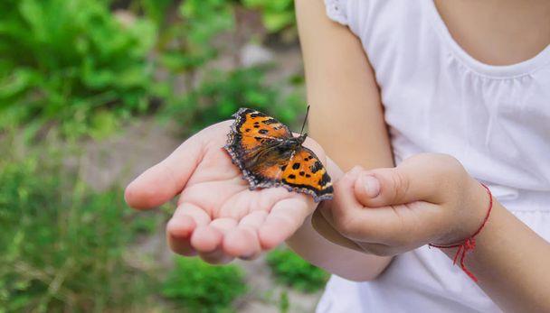 Kind mit einem Schmetterling. Selektiver Fokus. - Foto, Bild