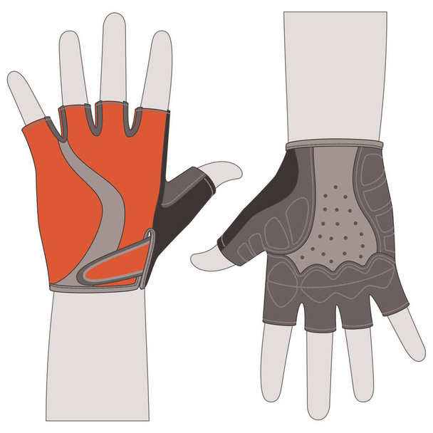 велосипедные перчатки, вид спереди и сзади на белом фоне
 - Вектор,изображение