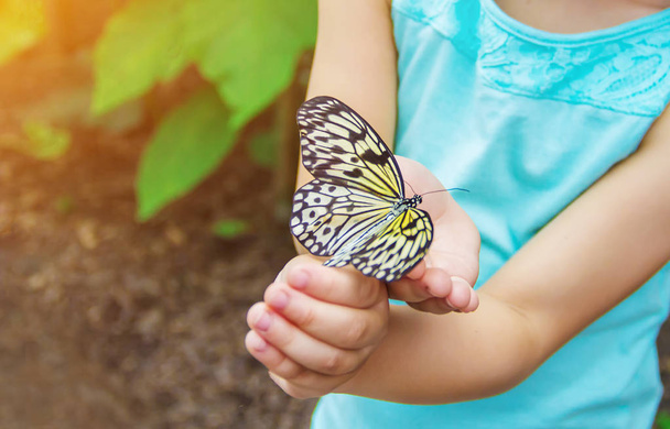 Child with a butterfly. Selective focus. - Фото, изображение