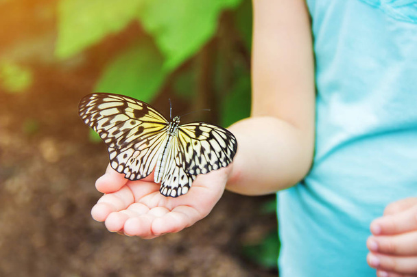 Child with a butterfly. Selective focus. - Fotografie, Obrázek