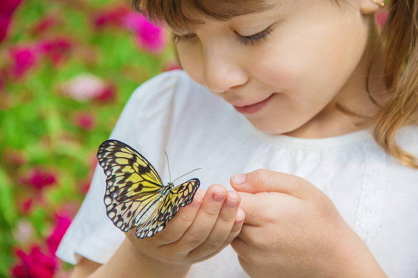 Child with a butterfly. Idea leuconoe. Selective focus. - Φωτογραφία, εικόνα