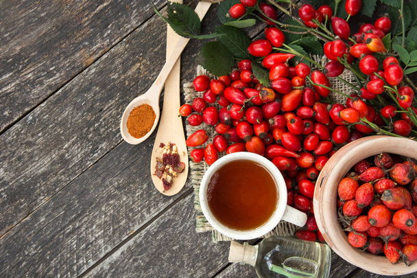 cup of herbal Dog rose tea with bunch branch Rosehips, types Rosa canina hips, essential oil. Medicinal plants and herbs composition  - Fotoğraf, Görsel