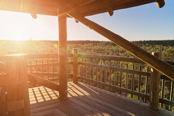 Вид на осінній сосновий ліс і оглядовий майданчик з променями сходу сонця. Висока дерев'яна спостережна вежа з оглядовою платформою
 - Фото, зображення