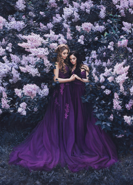 Two girlfriends, a blonde and a brunette, with love hugging each other. Background of a beautiful blooming lilac garden. The princesses are dressed in luxurious purple dresses. Long, wavy hair - 写真・画像