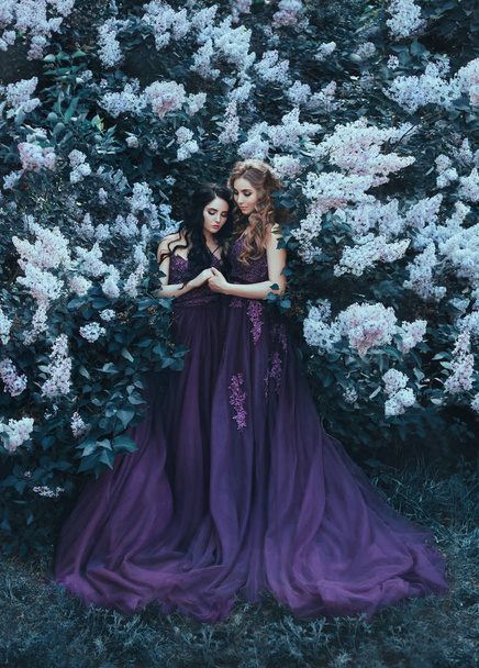 Two sisters-princesses in luxurious purple dresses with long trains, hug against the background of blooming lilacs. On wavy, curly hair is flower wreaths. Artistic processing. - Φωτογραφία, εικόνα