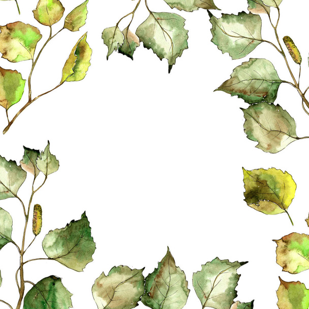 Green birch leaves. Leaf plant botanical garden floral foliage. Frame border ornament square. Aquarelle leaf for background, texture, wrapper pattern, frame or border. - Photo, Image