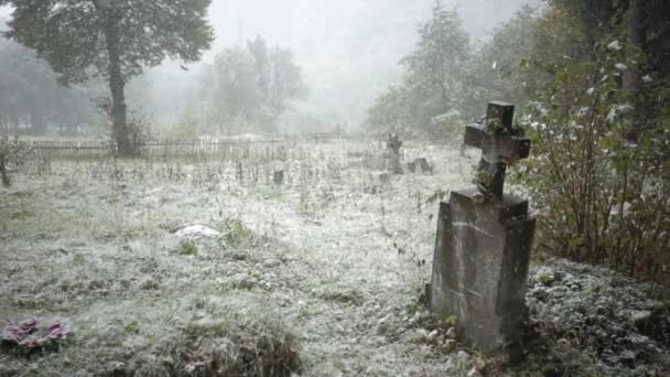Sneeuwval op de oude graf in het bos - Video