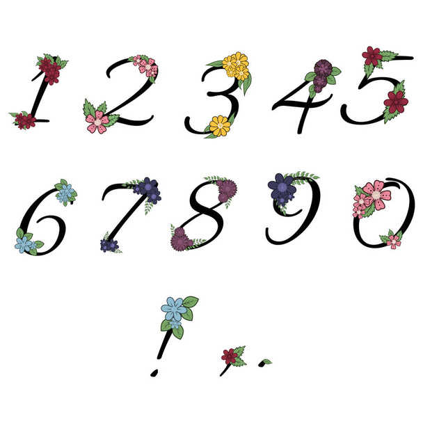 Floral numbers collection. - Vektör, Görsel