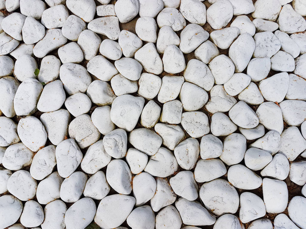 Textuur: grote geschuurd grind. Kleine witte kalk stenen. Artistieke reliëfs uit natuurlijke objecten. - Foto, afbeelding