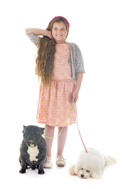 young girl with her little dogs in studio - Photo, Image
