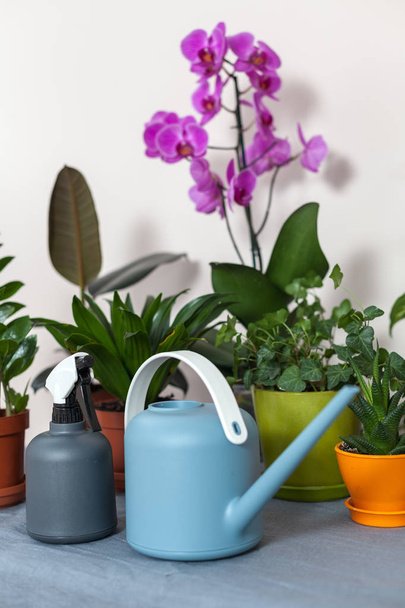 The watering can and sprayer are on the table next to the potted flowers in the pot - Fotoğraf, Görsel