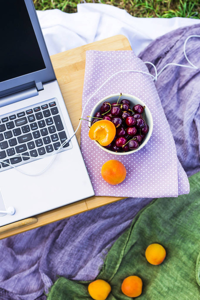 Work on a laptop on a picnic in nature - next to a bowl of cherries and apricots. Freelancer work concept. Top view, flat lay - Photo, Image