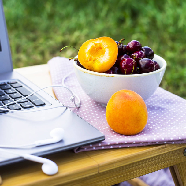 Work on a laptop on a picnic in nature - next to a bowl of cherries and apricots. Freelancer work concept - Foto, Imagem