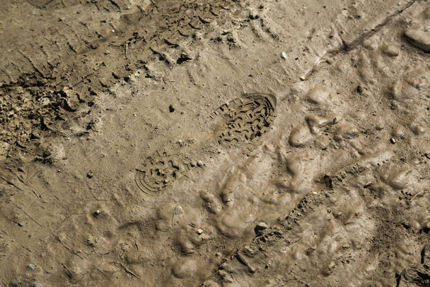 濡れた泥、質感、自然の足跡 - 写真・画像