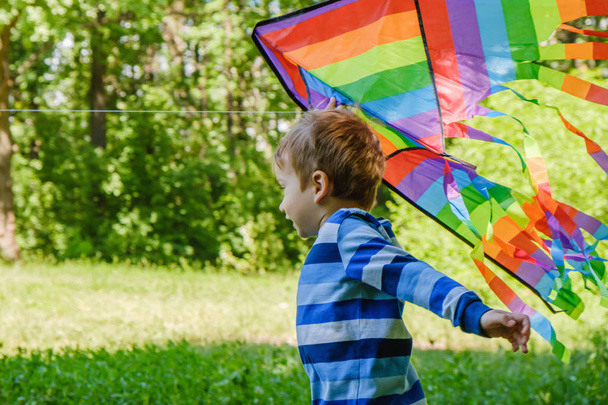 happy child boy with a kite running around the lawn in the woods in summer in nature - 写真・画像