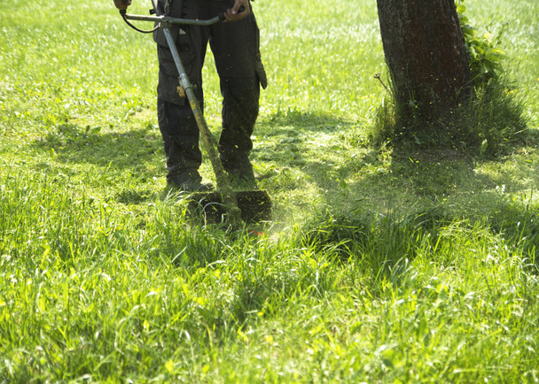男グリーン刈り野草フィールド ブラシ カッター芝刈り機や電源ツールひも芝生のトリマーを使用して。トリマーに草を刈る。三量体は、芝生を刈っています。芝生のケア. - 写真・画像