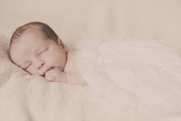 sleeping angelic newborn with the feather wings - Zdjęcie, obraz