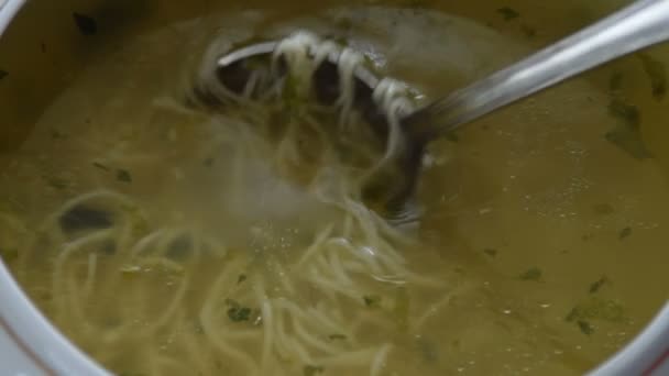 Bowl full of chicken soup, silver ladle stirs it. Noodles. - Footage, Video