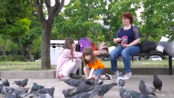 dwie małe dziewczynki, siostry karmić gołębie w parku. dzieci w odkrytym - Materiał filmowy, wideo