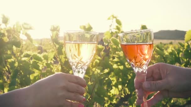 Zeitlupe. zwei Gläser mit Weiß- und Rotweingläsern vor dem Hintergrund des Weinbergs - Filmmaterial, Video