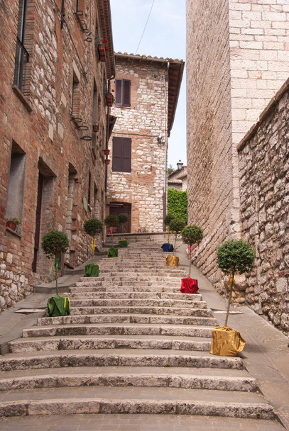 Bergop stappen met buxus planten potten langs een pad in een straat van Corciano stad - Foto, afbeelding