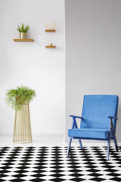 Real photo of a blue armchair standing next to a plant in a white living room interior with checkered floor - Zdjęcie, obraz