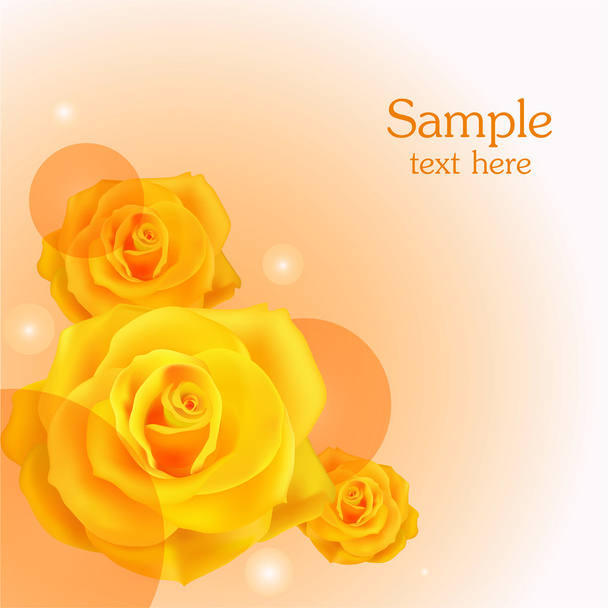 Yellow roses background. Vector illustration.  - Vector, Image