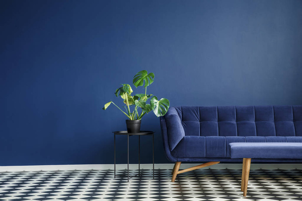 Big plant on a stool next to a comfy couch and checkered tiles set in a living room interior. Place your product - Foto, Imagem