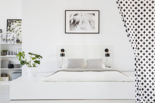 Real photo of a spacious, white bedroom interior with a platform bed with gray sheets and pillows between two black lamps and a patterned curtain - 写真・画像
