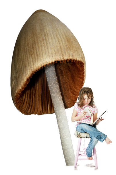 klein meisje lezen - Foto, afbeelding