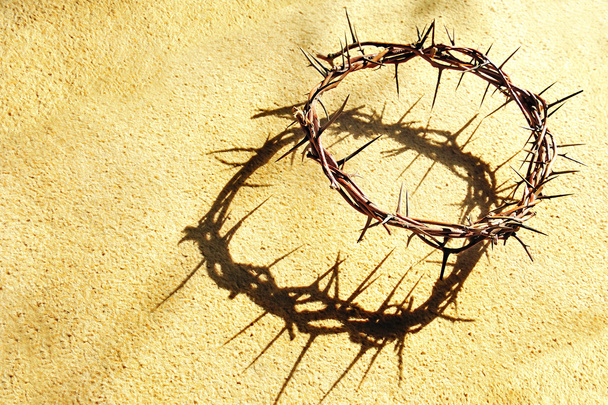 Crown of Thorns - Photo, Image