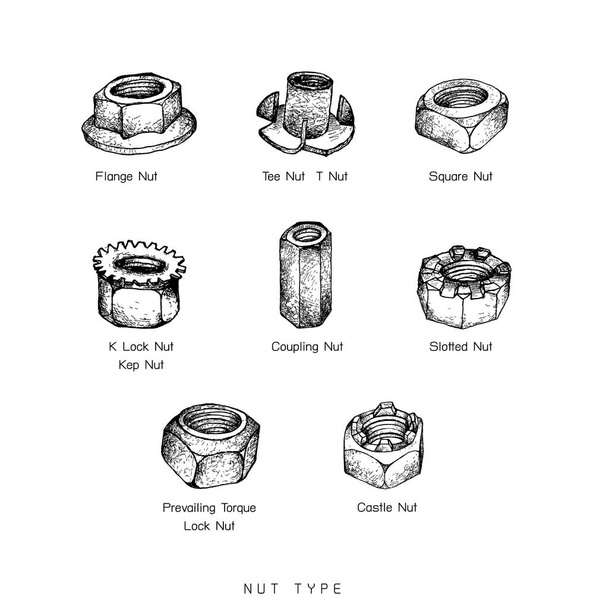 Manufacturing and Industry, Illustration Hand Drawn Sketch Set of Nuts Type. A Type of Fastener with Threaded Hole Used in Conjunction with A Mating Bolt to Fasten Parts Together - Vector, Image