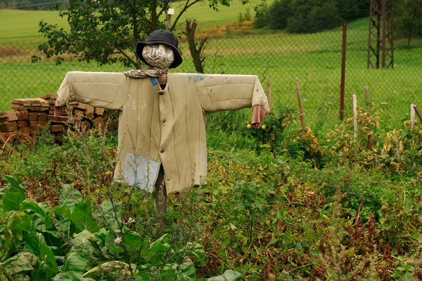 scarecrow in the garden - Photo, Image