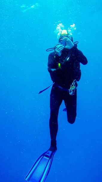 дайвер фотографирует под водой в голубой воде
 - Фото, изображение