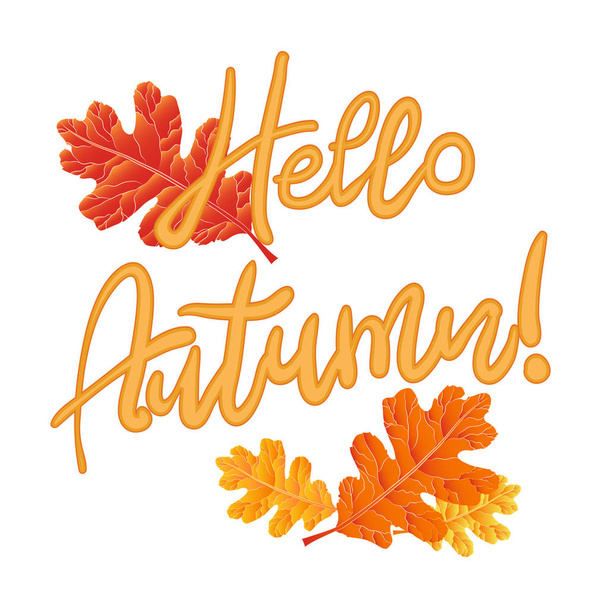 Beautiful autumn leaf and text. Autumn background. Isolated . Concept - Hello, Autumn!Vector illustration. Eps 10. - Vector, Image
