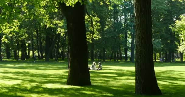 pair of young people relaxing on the green lawn in the shade of big trees in the city park - Footage, Video