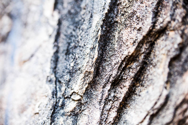 Close up of natural stone wall. Stone wall texture  - Fotó, kép
