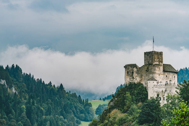 Середньовічний замок Нєдзица, також відомий як Бяли-Дунаєць замок. Польща - Фото, зображення