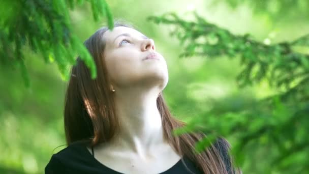 Young woman looks at the spruce trees in sunny day - Video, Çekim