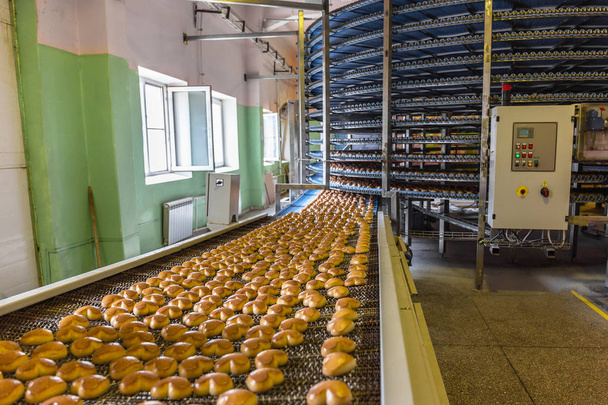 Kuchenfabrik, automatische Bandanlagen, industrielle Konditorei-Werkstatt, Lebensmittelindustrie - Foto, Bild
