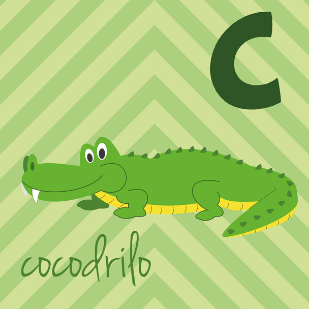 Roztomilý kreslený zoo ilustrované abecedy s legrační zvířata. Španělská abeceda: C u krokodýlů. Naučte se číst. Izolované vektorové ilustrace. - Vektor, obrázek