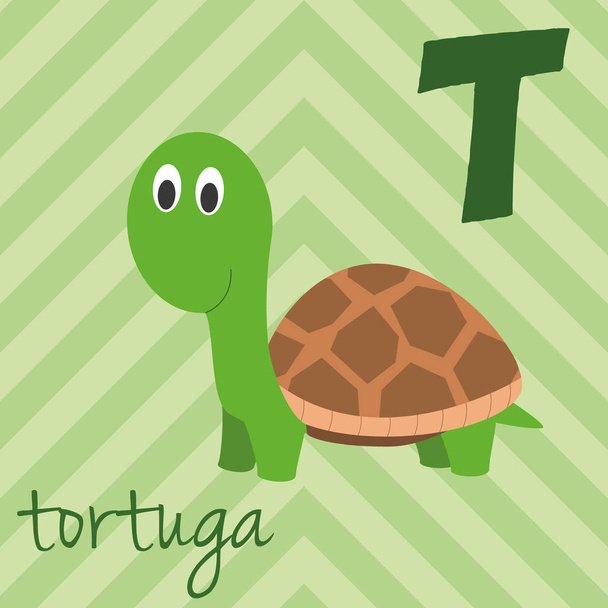 Aranyos rajzfilm állatkert illusztrált vicces állatok ábécé. Spanyol ábécé: T a Tortuga. Tanulj meg olvasni. Elszigetelt vektoros illusztráció. - Vektor, kép