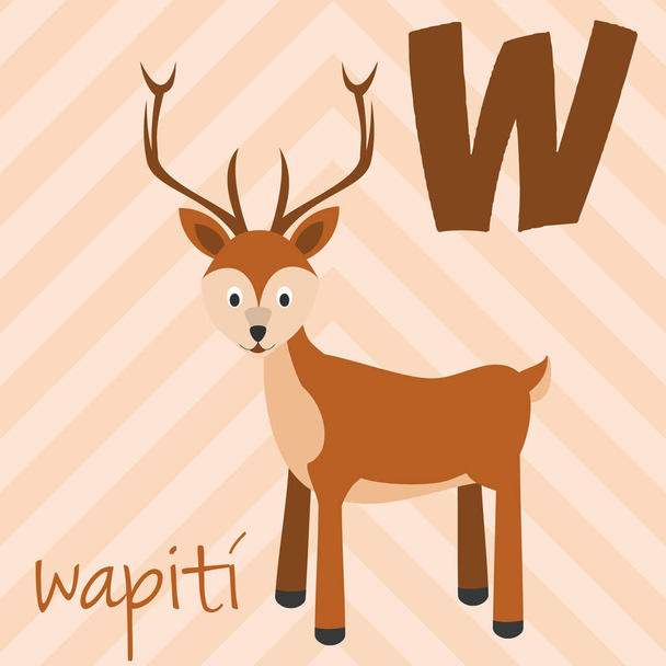 Cute cartoon zoo illustrated alphabet with funny animals. Spanish alphabet: W for Wapiti. Learn to read. Isolated Vector illustration. - Vector, Image