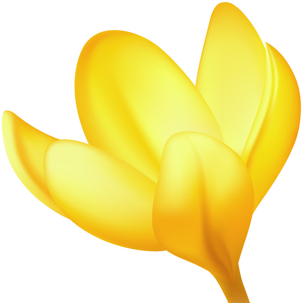 Yellow crocus left - Διάνυσμα, εικόνα