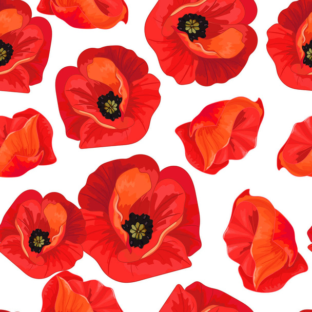 Red poppies on a white - Vecteur, image